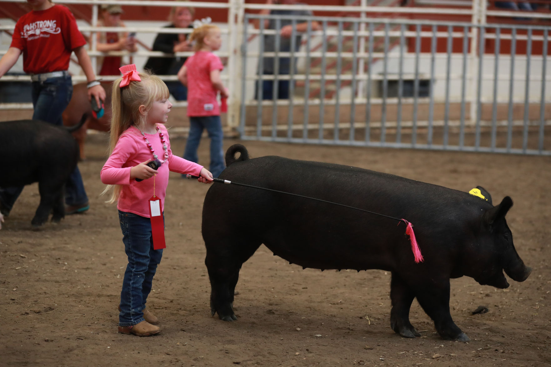 071119_HallCoFair18_bjs.JPG